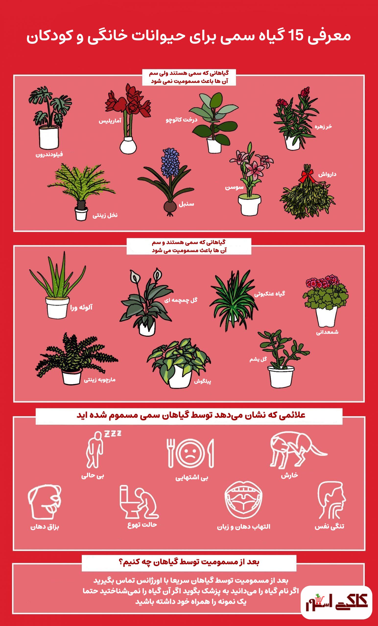 راهنمایی جامع گیاهان سمی