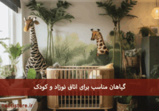 گیاهان مناسب برای اتاق نوزاد و کودک