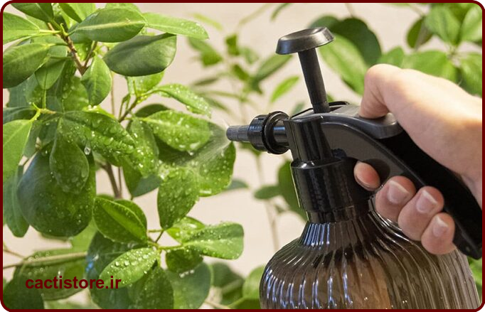 مه پاشی برای رطوبت گیاه