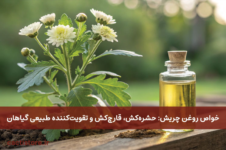 قدرت روغن چریش: حشره‌کش، قارچ‌کش و تقویت‌کننده طبیعی گیاهان