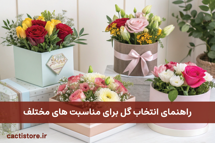 راهنمای-انتخاب-گل-برای-مناسبت-های-مختلف